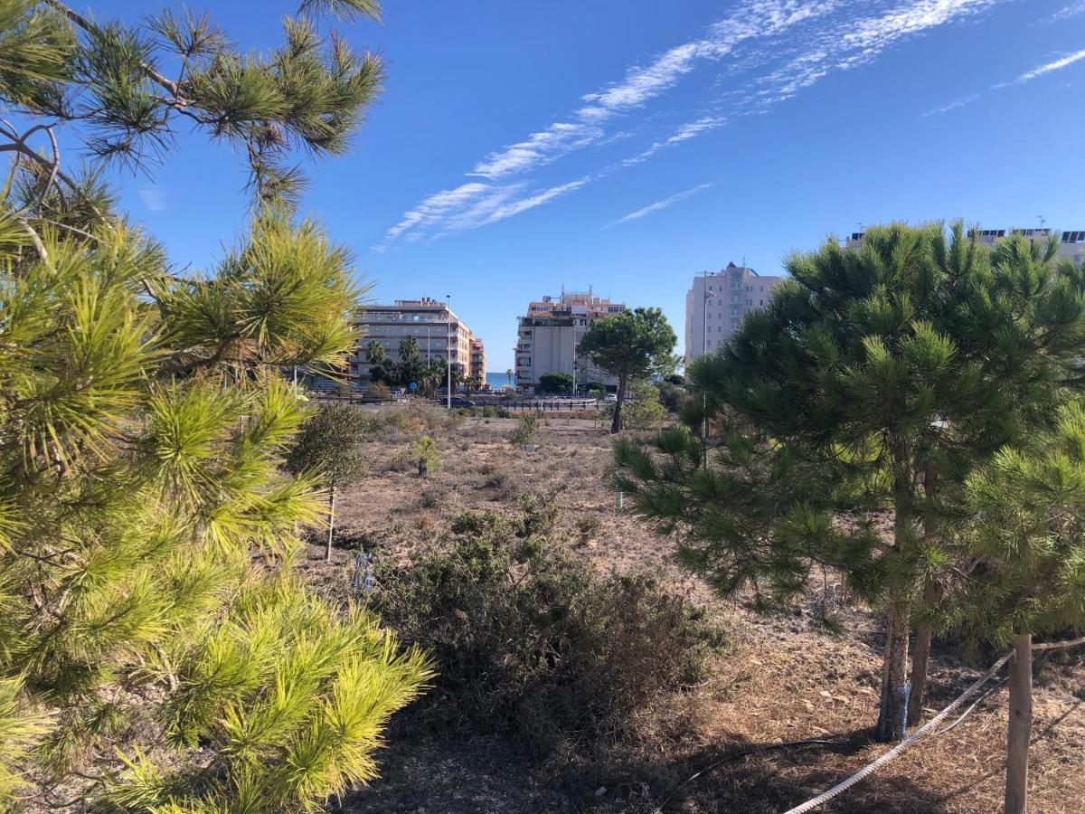 Amplio Apartamento Playa 라 마타 외부 사진